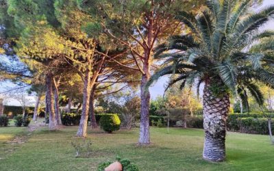 Nos damos a conocer como casa de espiritualidad Santa Teresa