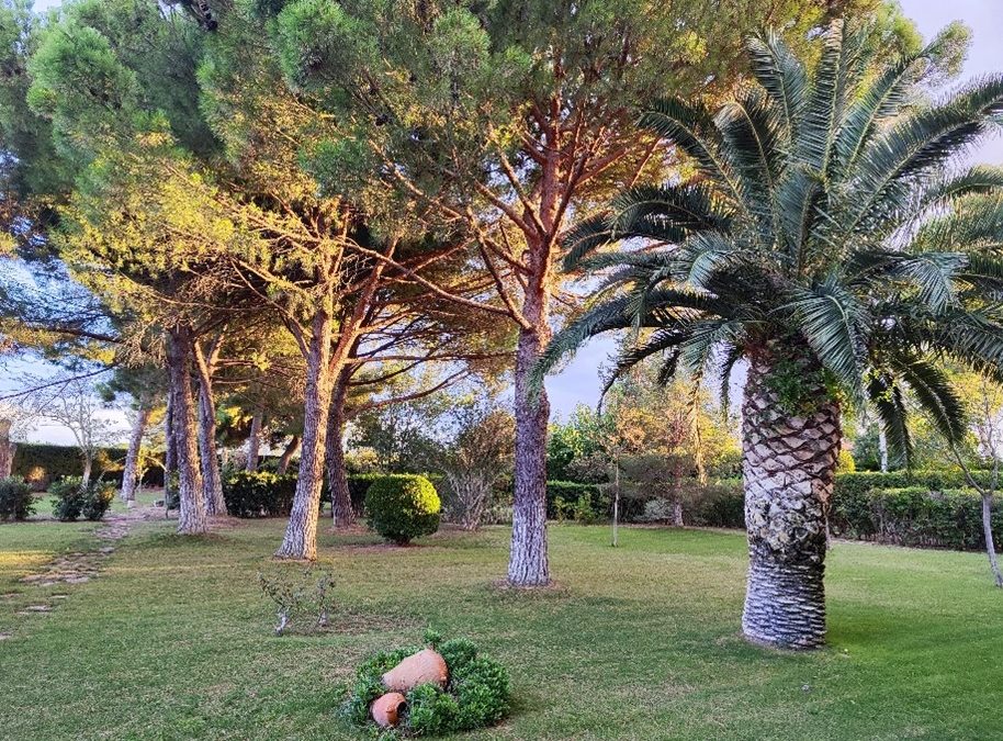 Nos damos a conocer como casa de espiritualidad Santa Teresa